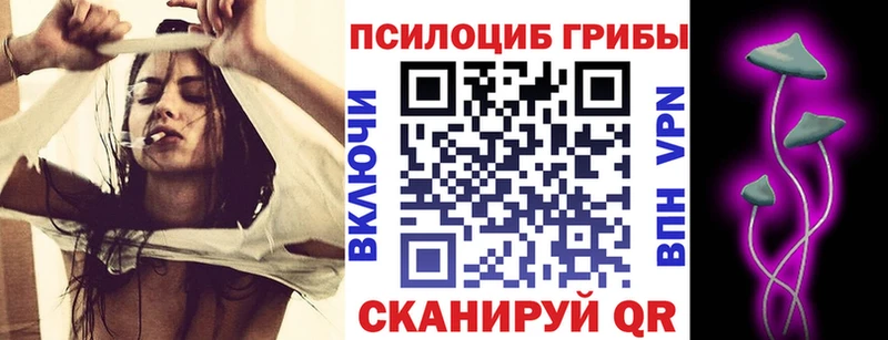площадка наркотические препараты магазин Светлоград Галлюциногенные грибы Cubensis